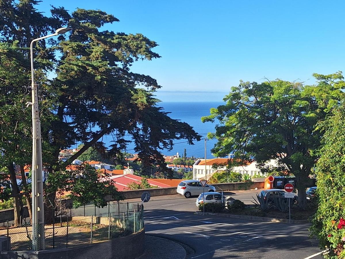 Funchal Apartments - New Botanic Garden Petit Studios 外观 照片